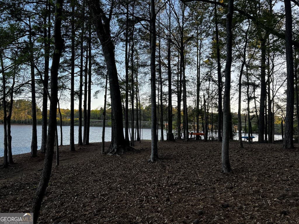 residential lot for sale at 203 View Pointe Lane, Lagrange, GA 30241 — photo 8