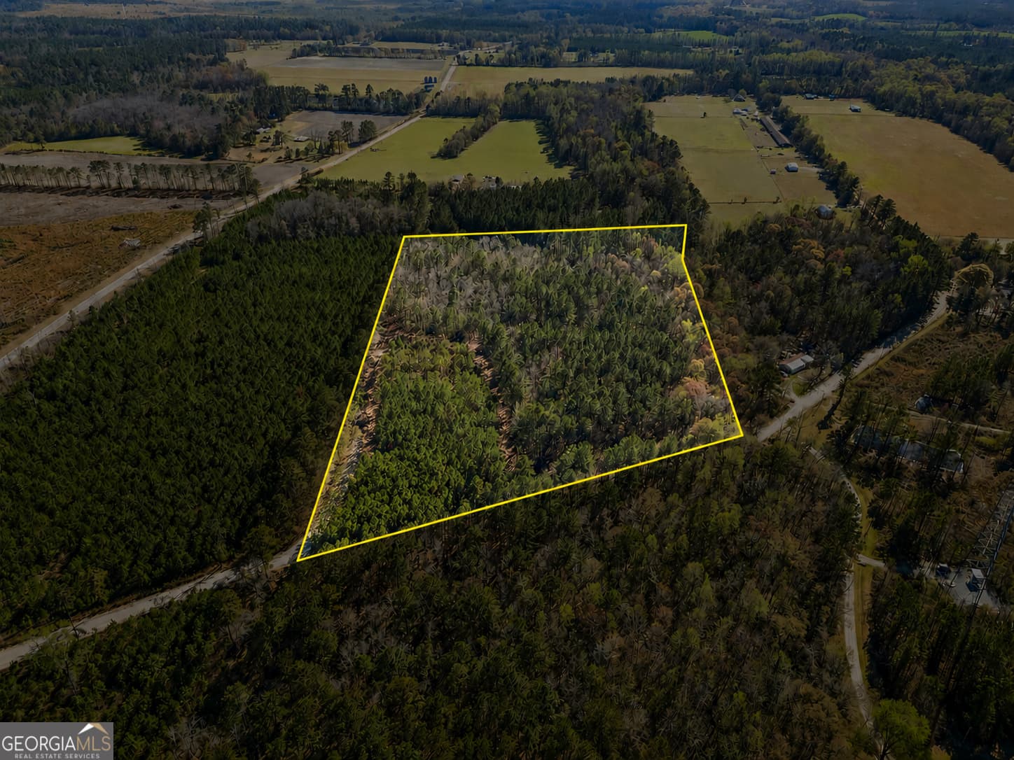 agriculture for sale at 1014 Iler Road, Pembroke, GA 31321 — photo 2