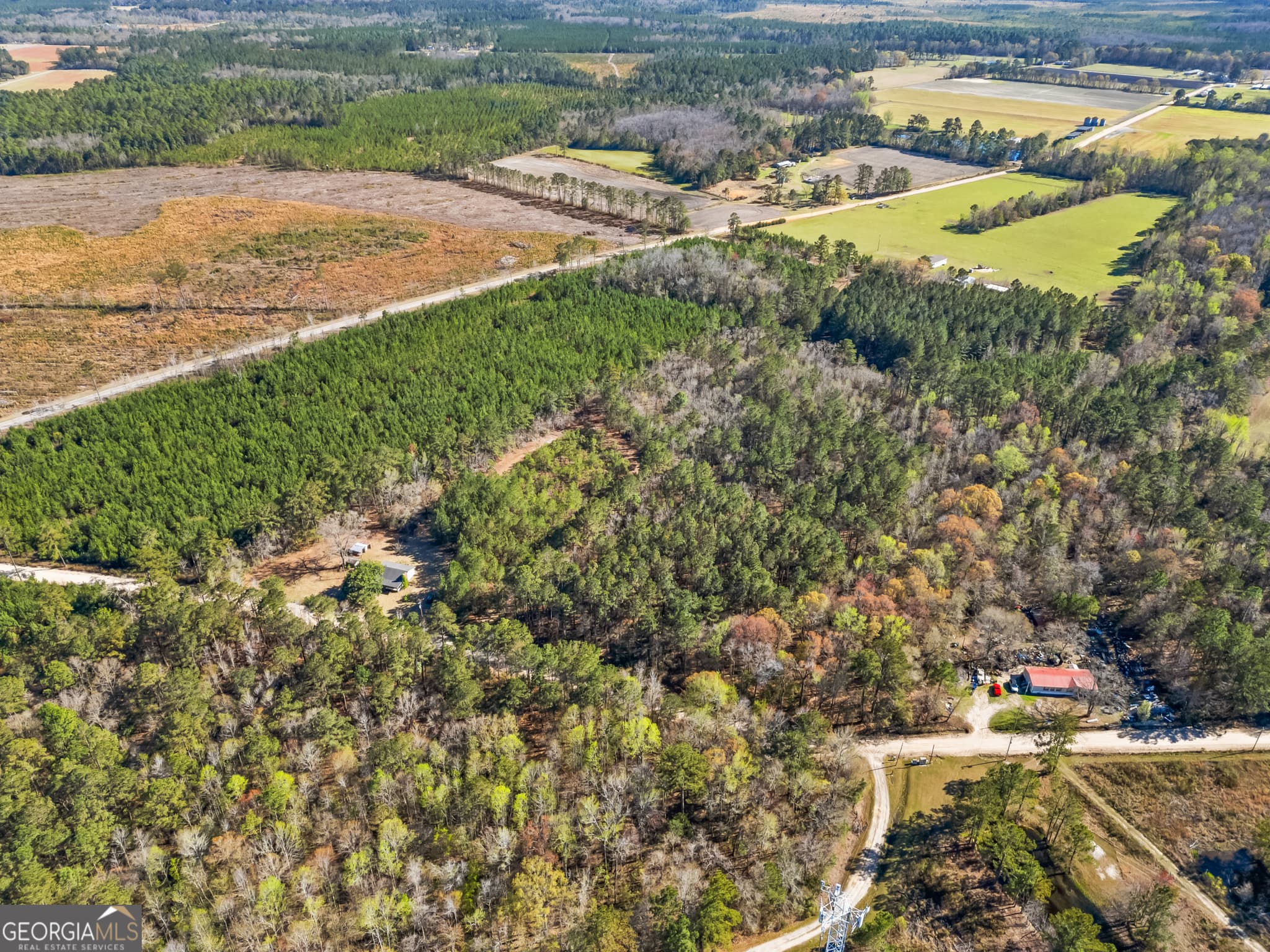agriculture for sale at 1014 Iler Road, Pembroke, GA 31321 — photo 6