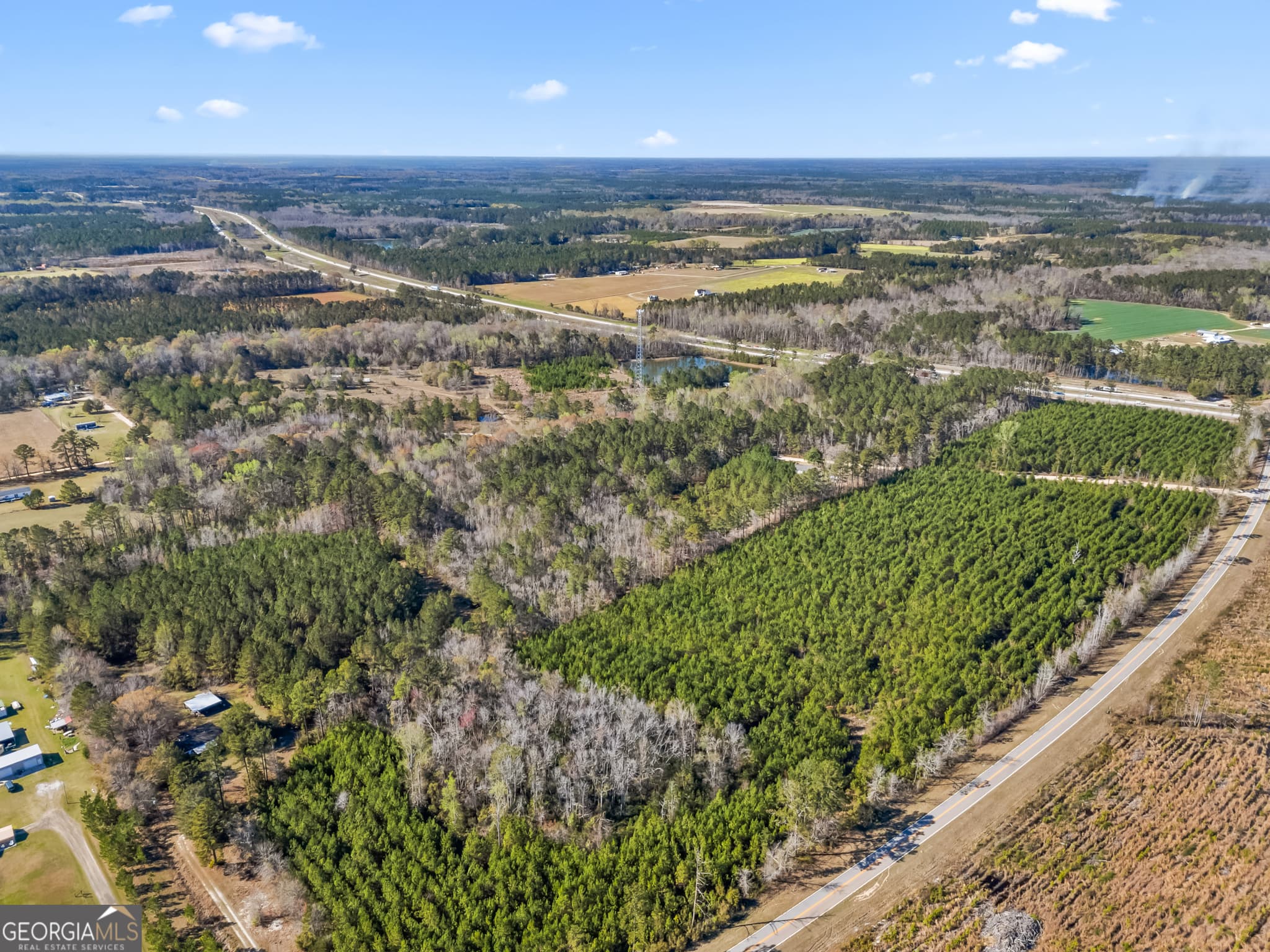 agriculture for sale at 1014 Iler Road, Pembroke, GA 31321 — photo 7