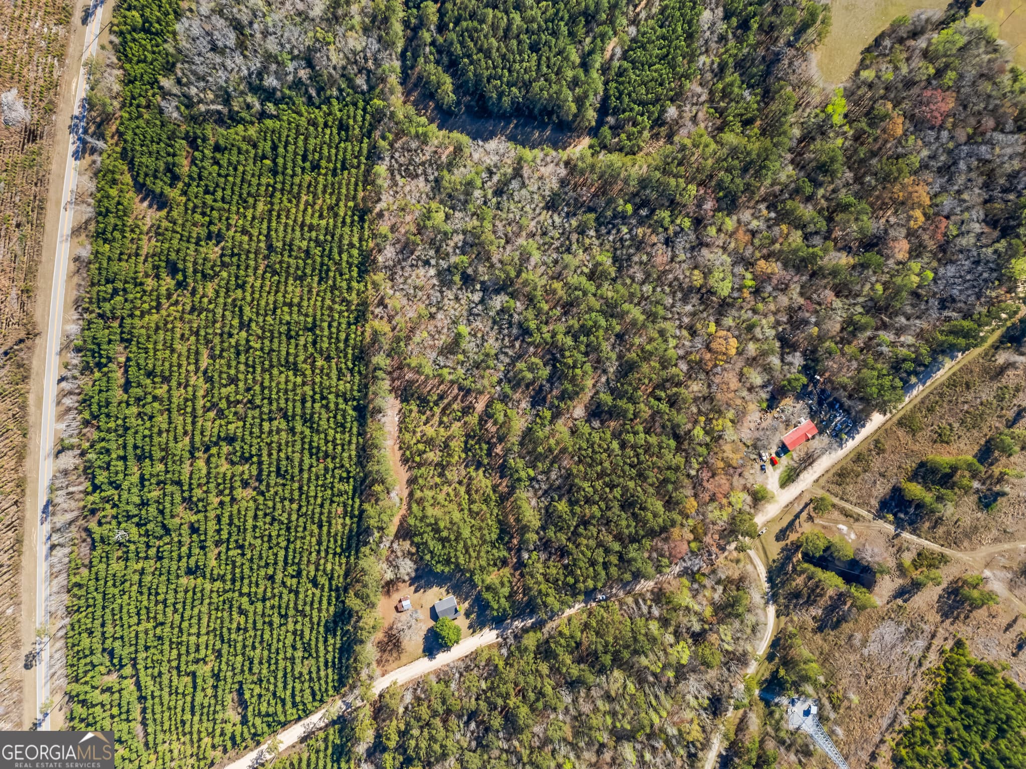 agriculture for sale at 1014 Iler Road, Pembroke, GA 31321 — photo 3