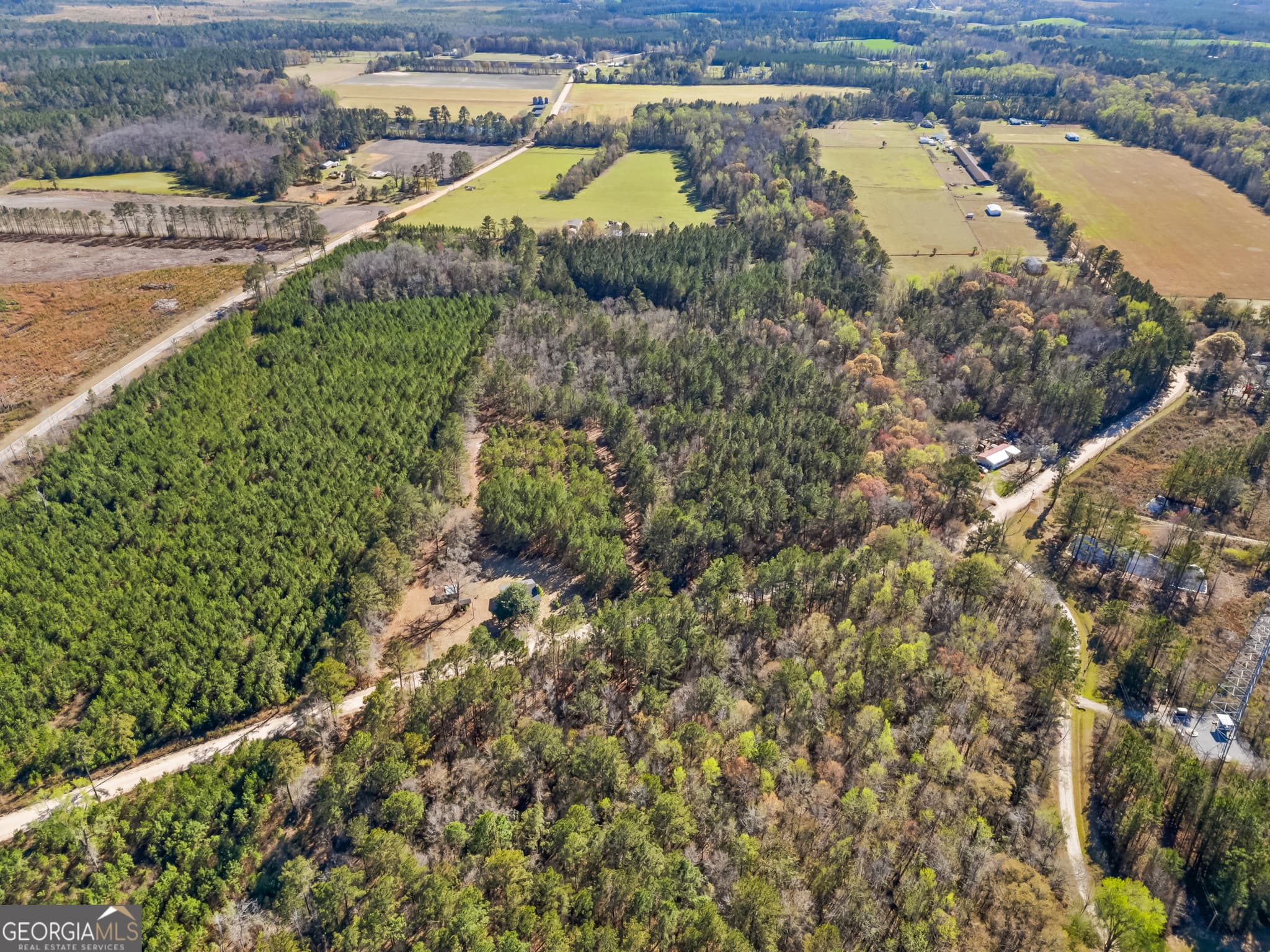agriculture for sale at 1014 Iler Road, Pembroke, GA 31321 — photo 5
