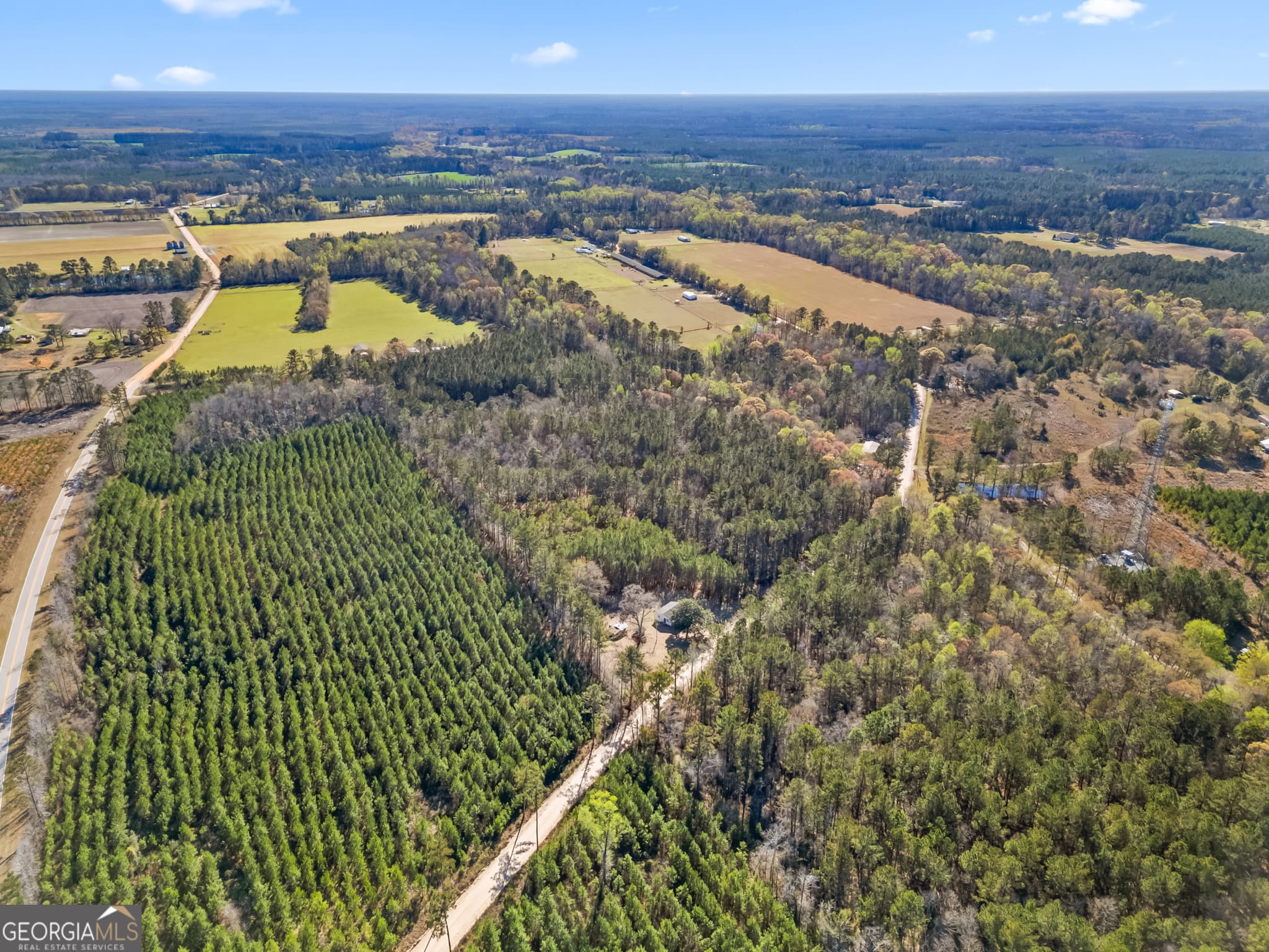 agriculture for sale at 1014 Iler Road, Pembroke, GA 31321 — photo 4