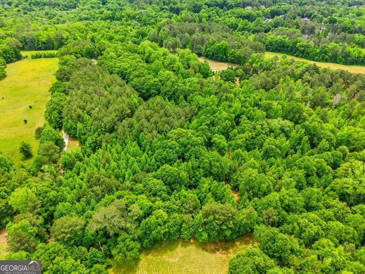 residential lot for sale at TRACT 5 McNutt Creek Road, Bogart, GA 30622 — photo 3