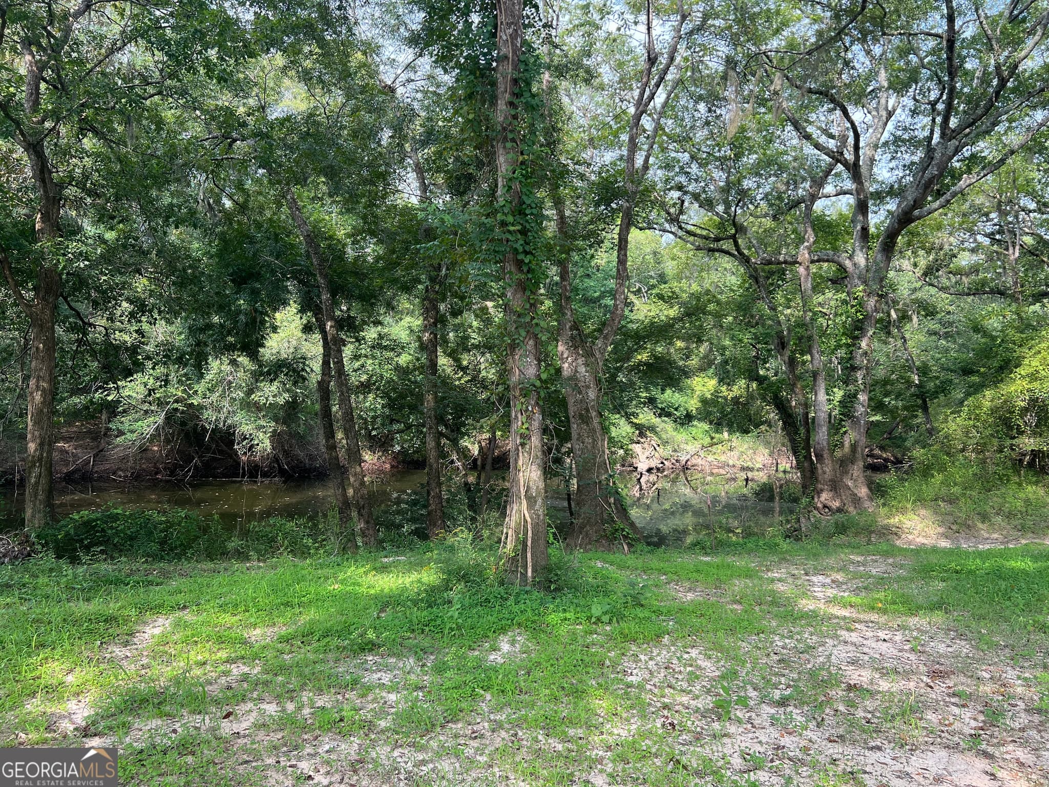 residential lot for sale at 1564 Eagles Point, Surrency, GA 31563 — photo 5