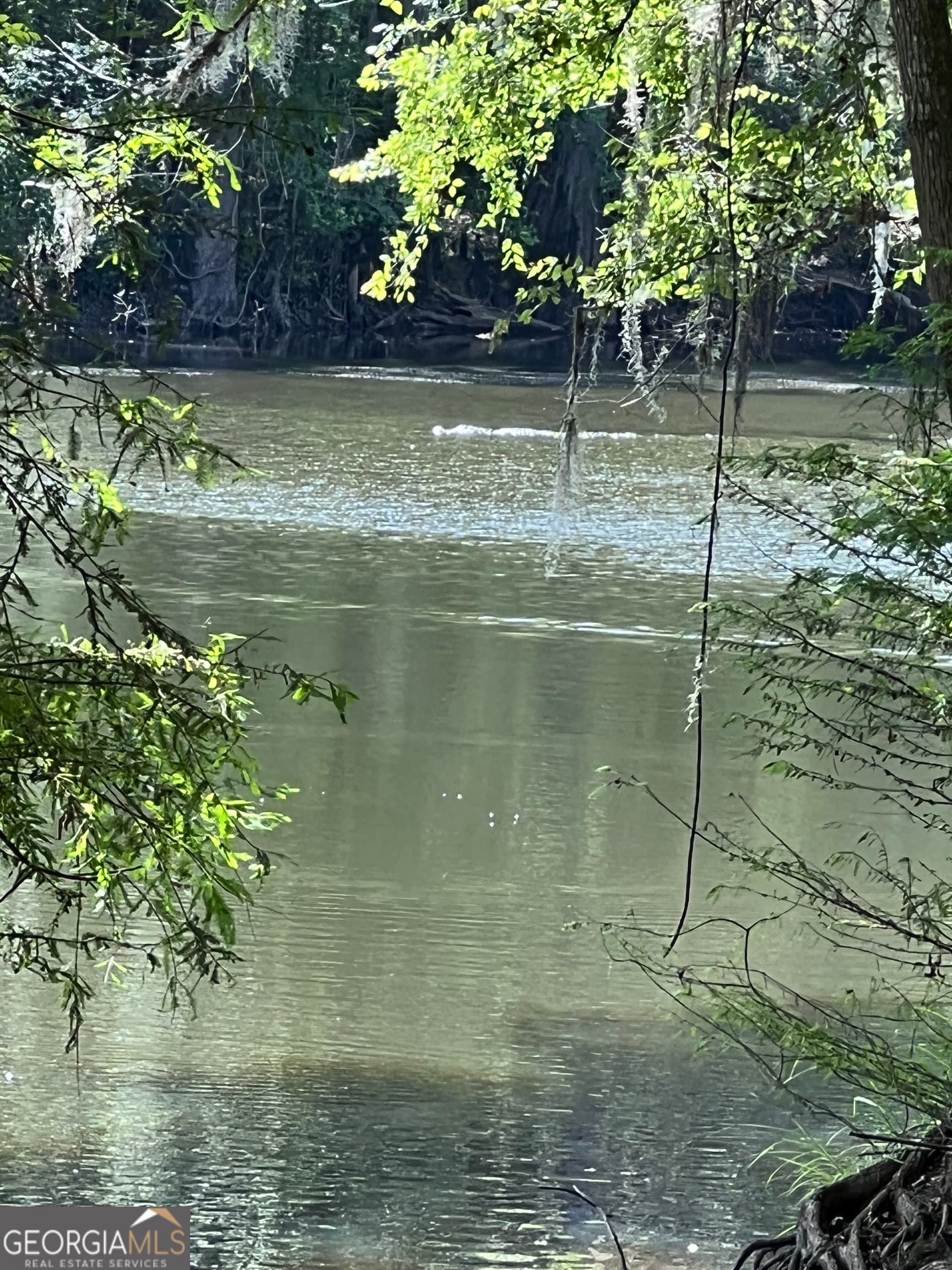 residential lot for sale at 1564 Eagles Point, Surrency, GA 31563 — photo 10