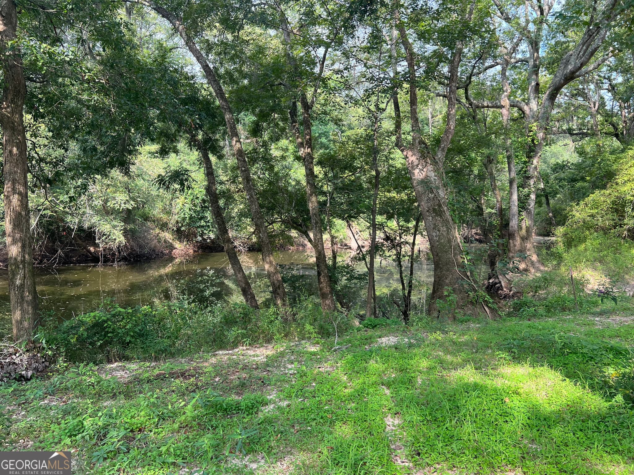 residential lot for sale at 1564 Eagles Point, Surrency, GA 31563 — photo 8
