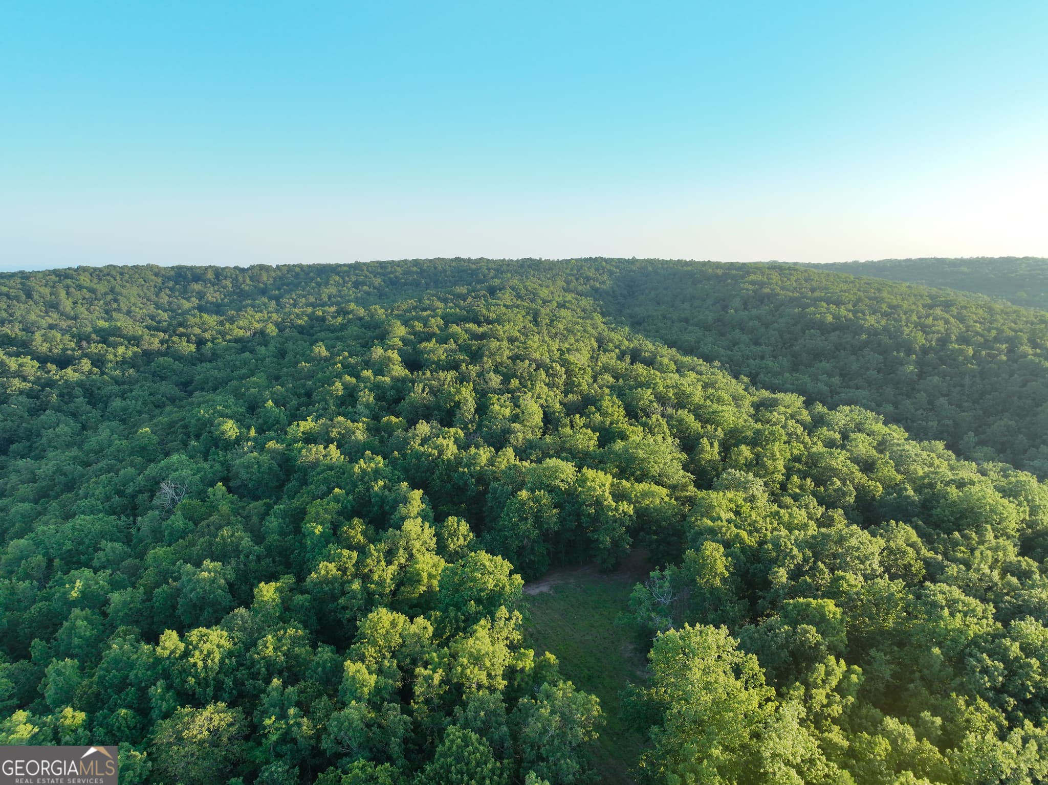 agriculture for sale at 3270 Jeff Davis Road, Thomaston, GA 30286 — photo 3