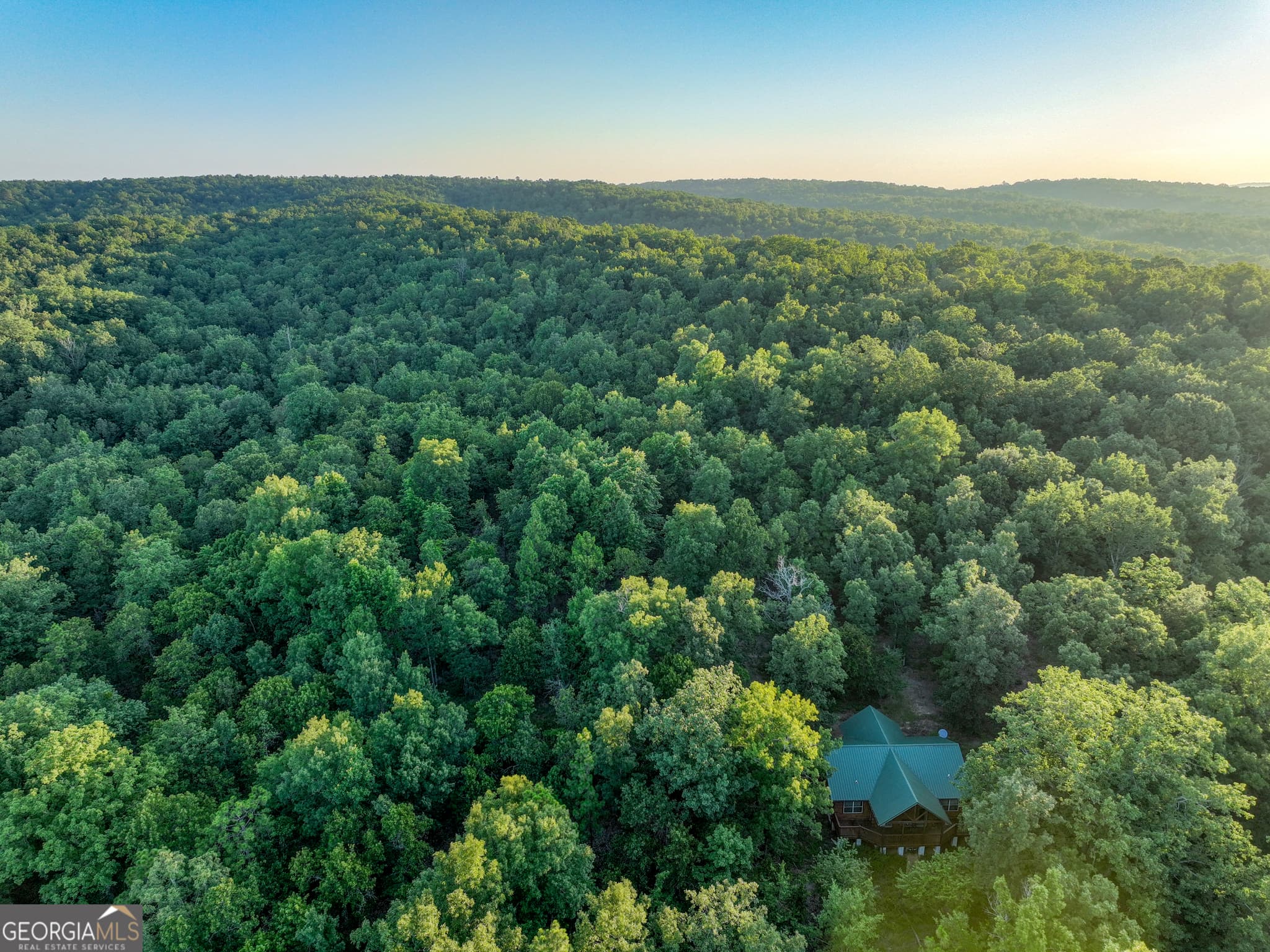 agriculture for sale at 3270 Jeff Davis Road, Thomaston, GA 30286