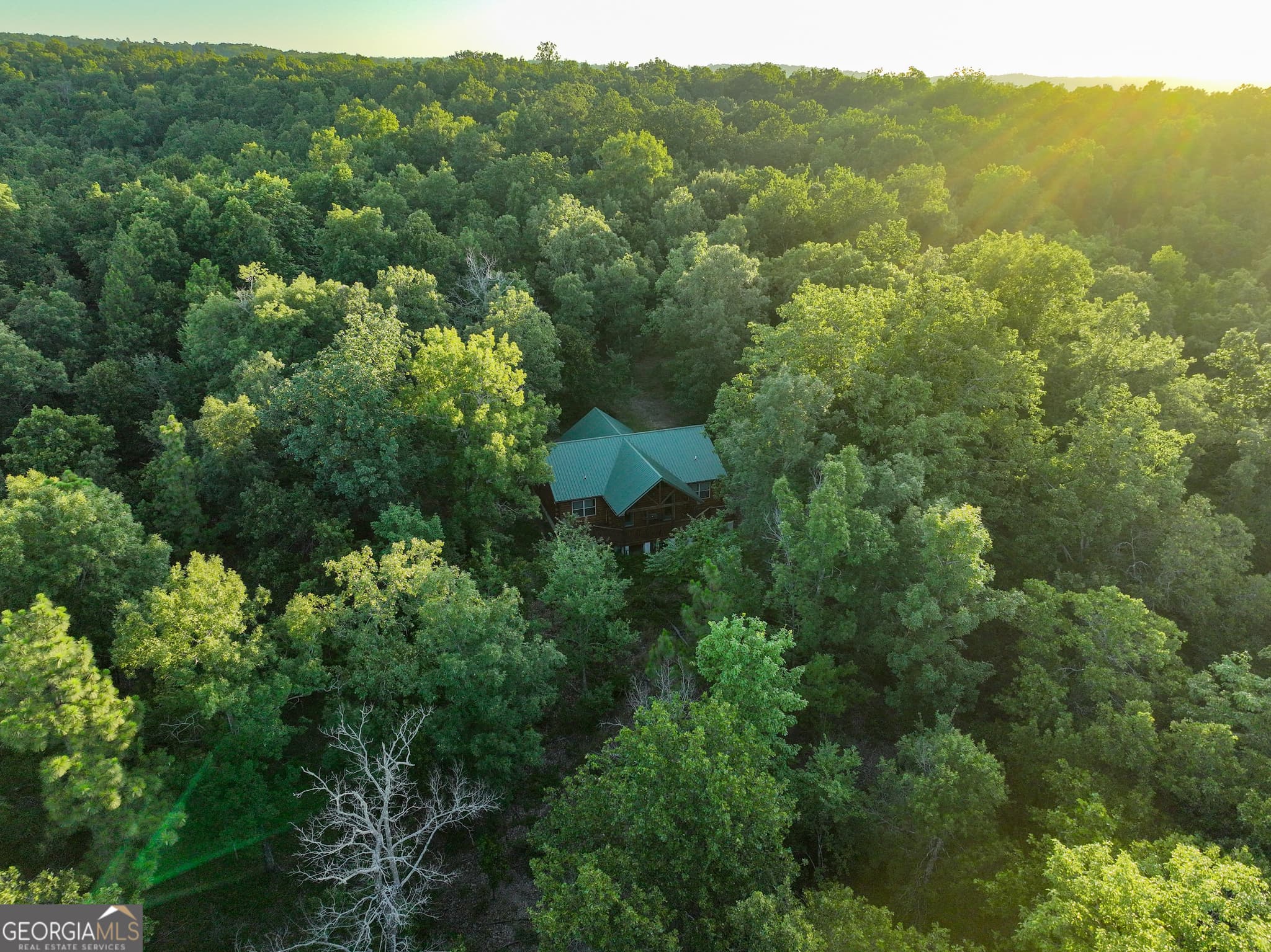 agriculture for sale at 3270 Jeff Davis Road, Thomaston, GA 30286 — photo 4