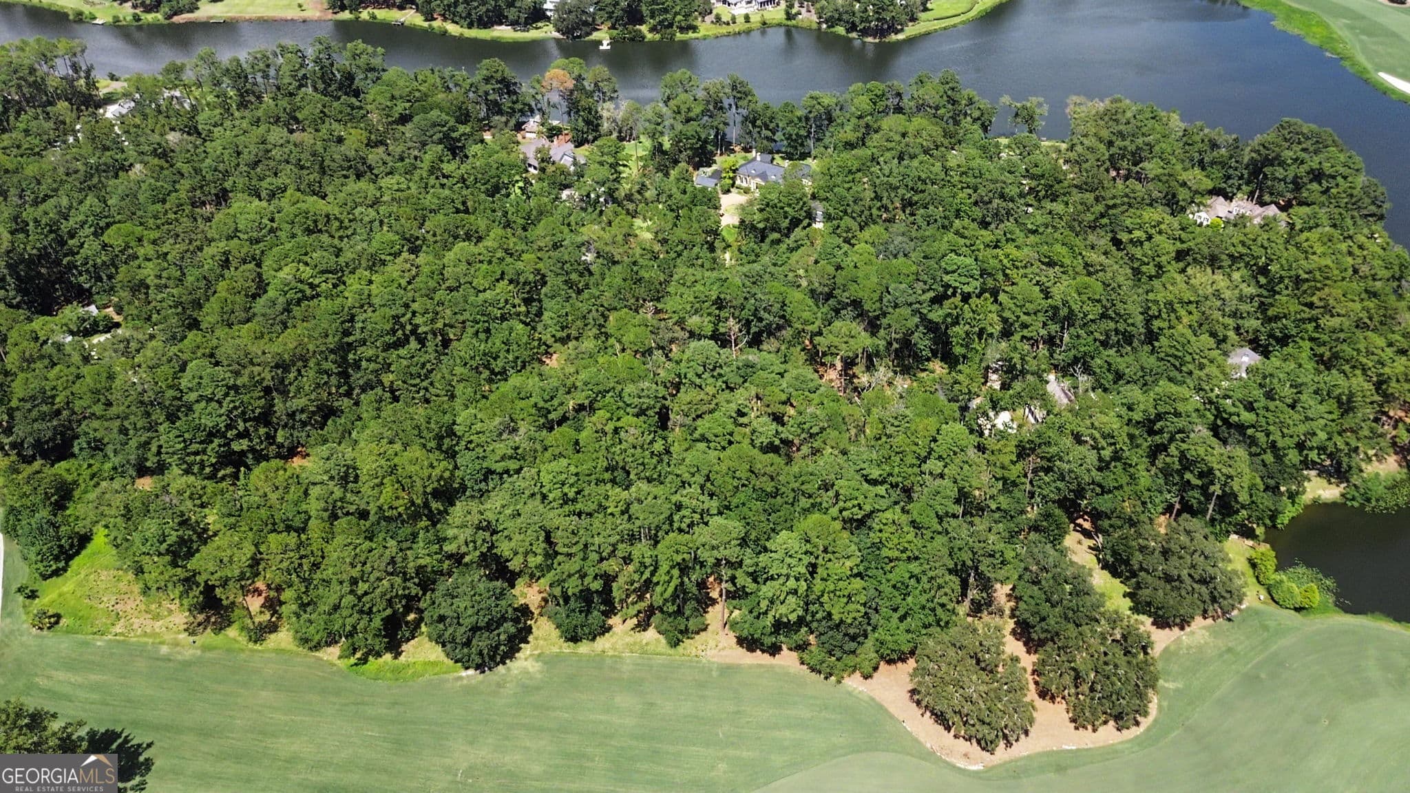 residential lot for sale at 388 Belted Kingfisher Lane, Richmond Hill, GA 31324 — photo 6