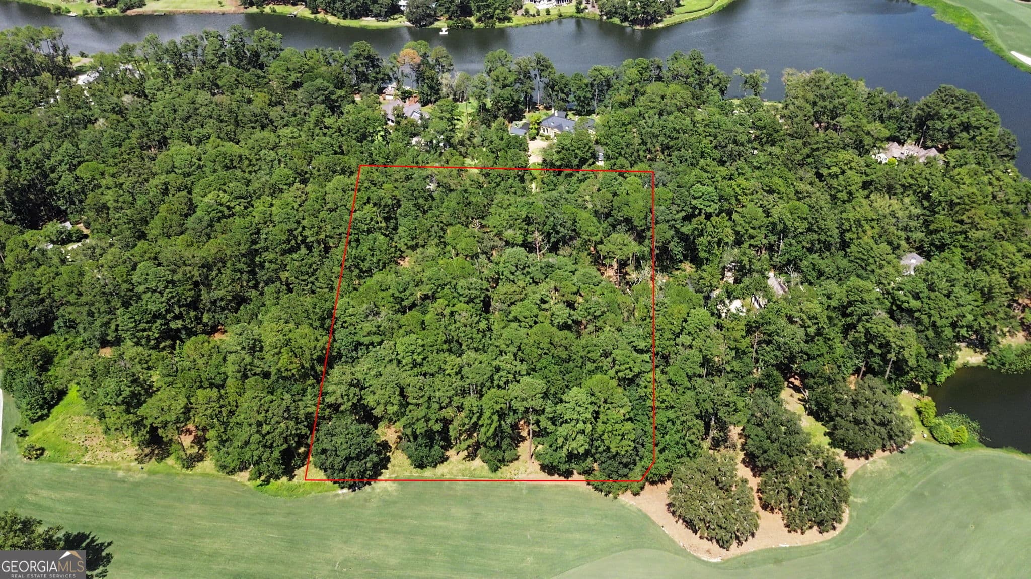 residential lot for sale at 388 Belted Kingfisher Lane, Richmond Hill, GA 31324 — photo 5