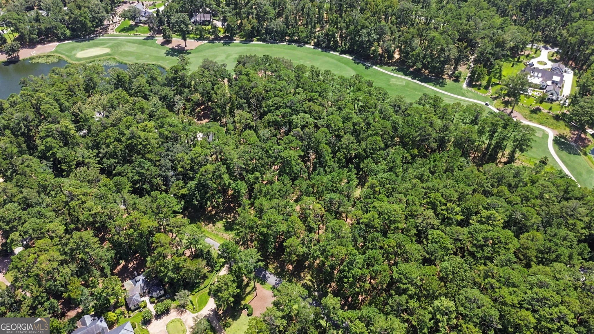 residential lot for sale at 388 Belted Kingfisher Lane, Richmond Hill, GA 31324 — photo 4