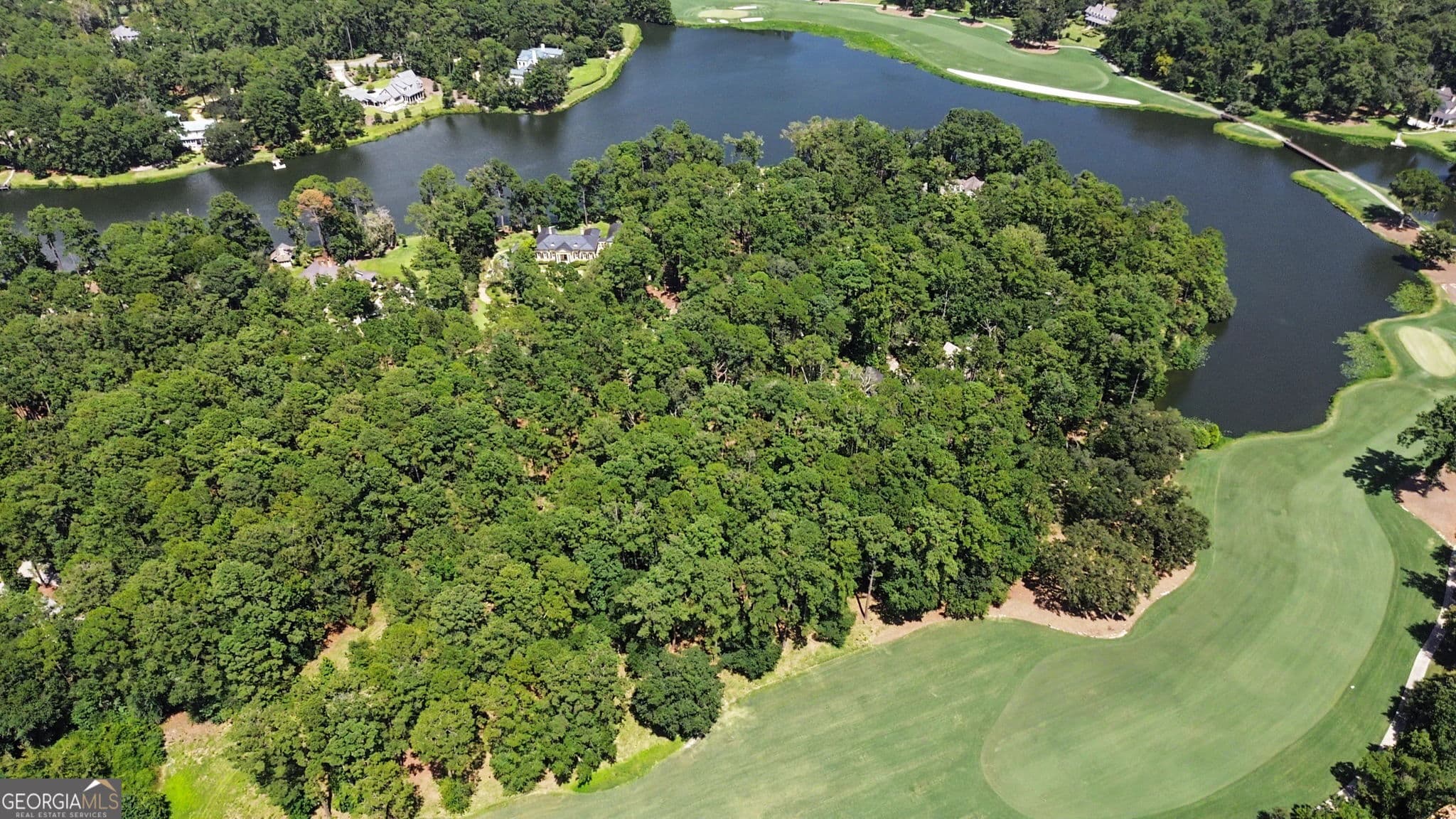 residential lot for sale at 388 Belted Kingfisher Lane, Richmond Hill, GA 31324 — photo 8