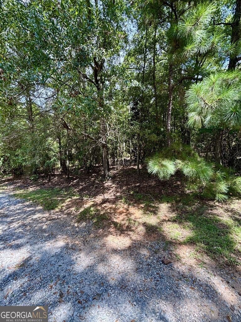 residential lot for sale at 4521 Ottawa Street, Columbus, GA 31907 — photo 2