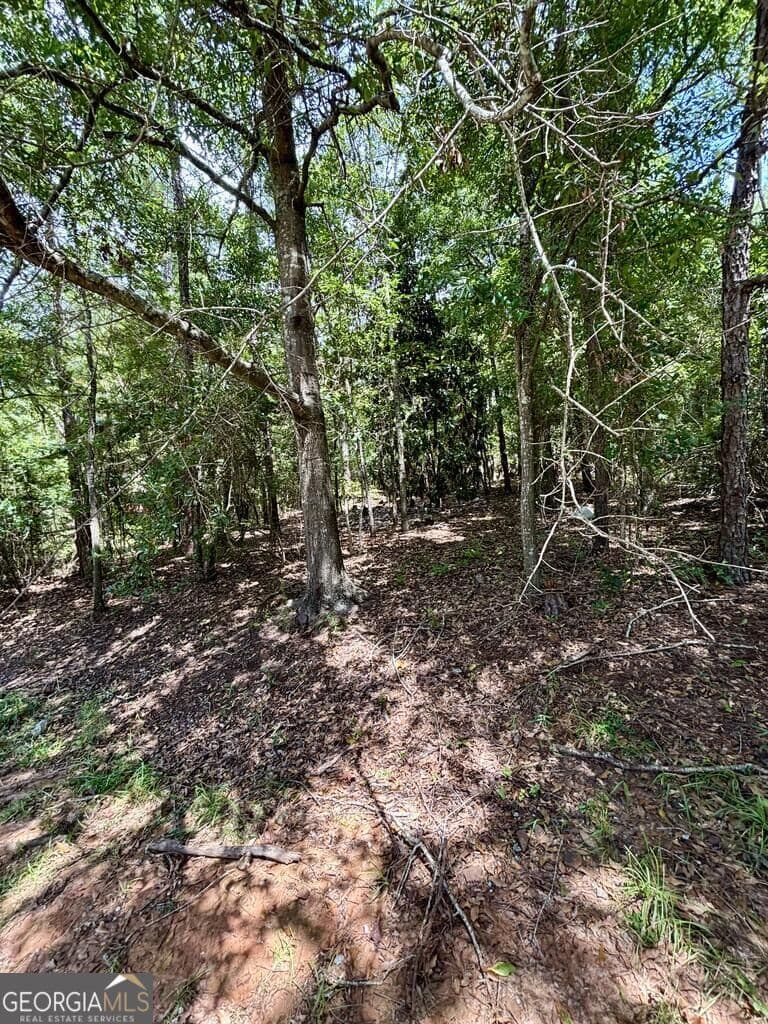 residential lot for sale at 4521 Ottawa Street, Columbus, GA 31907 — photo 3