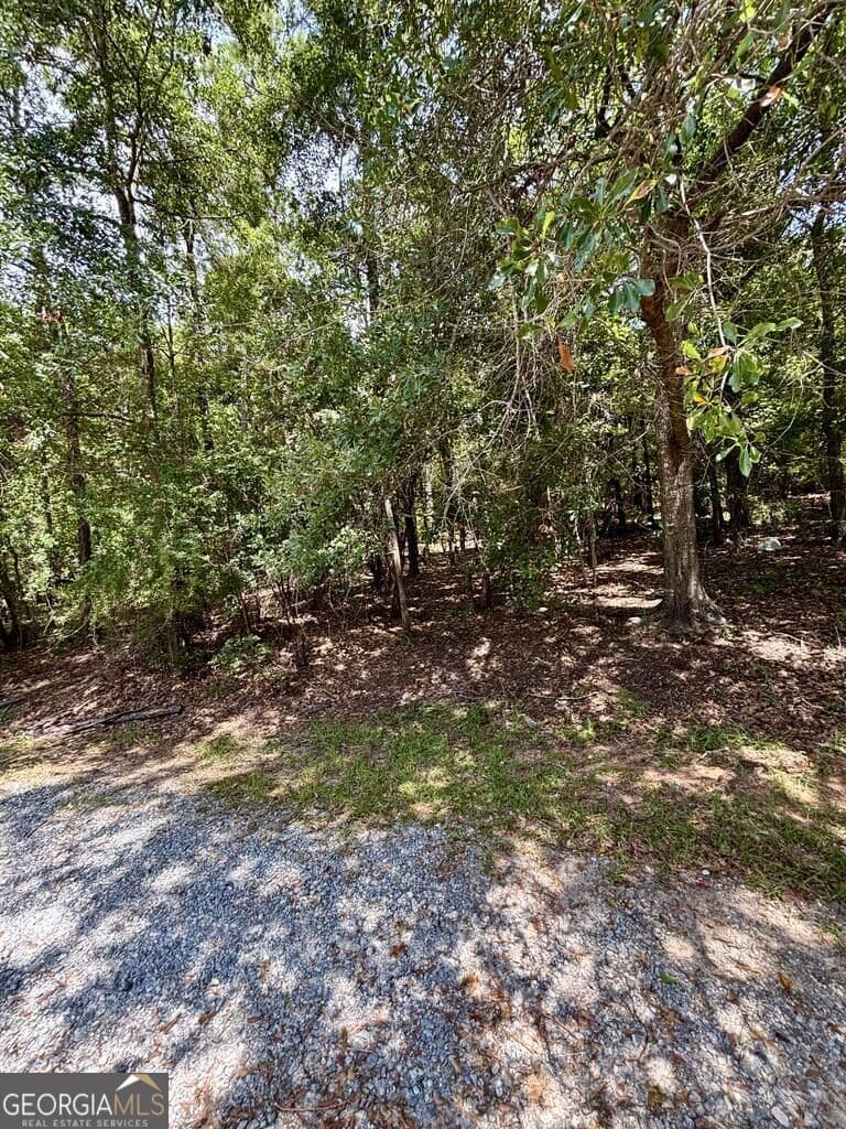 residential lot for sale at 4521 Ottawa Street, Columbus, GA 31907 — photo 4