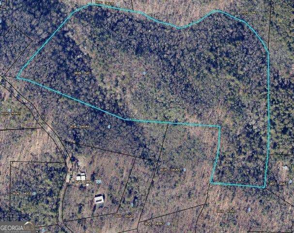 unimproved land for sale at 28.4 AC Black Dog Trail, Blue Ridge, GA 30513 — photo 2