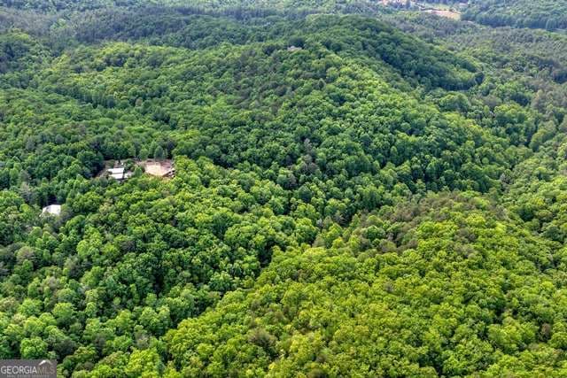 unimproved land for sale at 28.4 AC Black Dog Trail, Blue Ridge, GA 30513 — photo 6