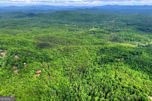 unimproved land for sale at 28.4 AC Black Dog Trail, Blue Ridge, GA 30513 — photo 7