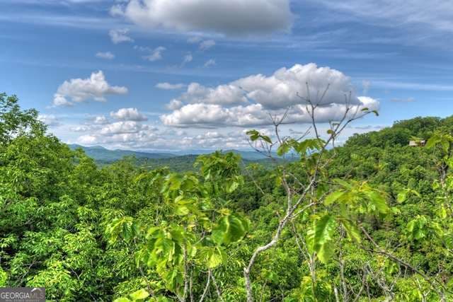 unimproved land for sale at 28.4 AC Black Dog Trail, Blue Ridge, GA 30513 — photo 3