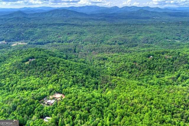 unimproved land for sale at 28.4 AC Black Dog Trail, Blue Ridge, GA 30513 — photo 1 of 7