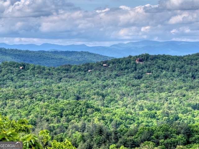 unimproved land for sale at 28.4 AC Black Dog Trail, Blue Ridge, GA 30513 — photo 5