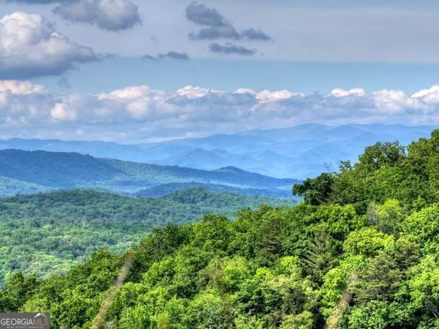 unimproved land for sale at 28.4 AC Black Dog Trail, Blue Ridge, GA 30513 — photo 4