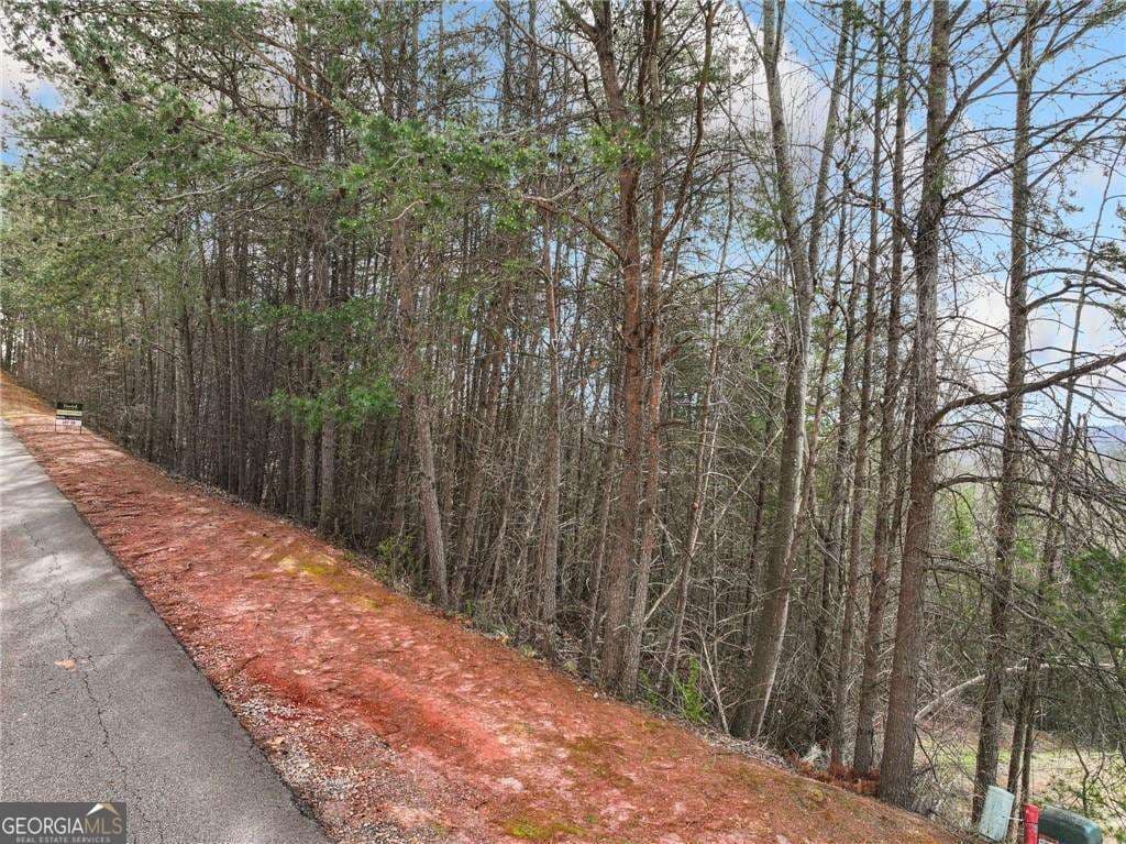 residential lot for sale at LOT 30 Crown Mountain Way, Dahlonega, GA 30533 — photo 5