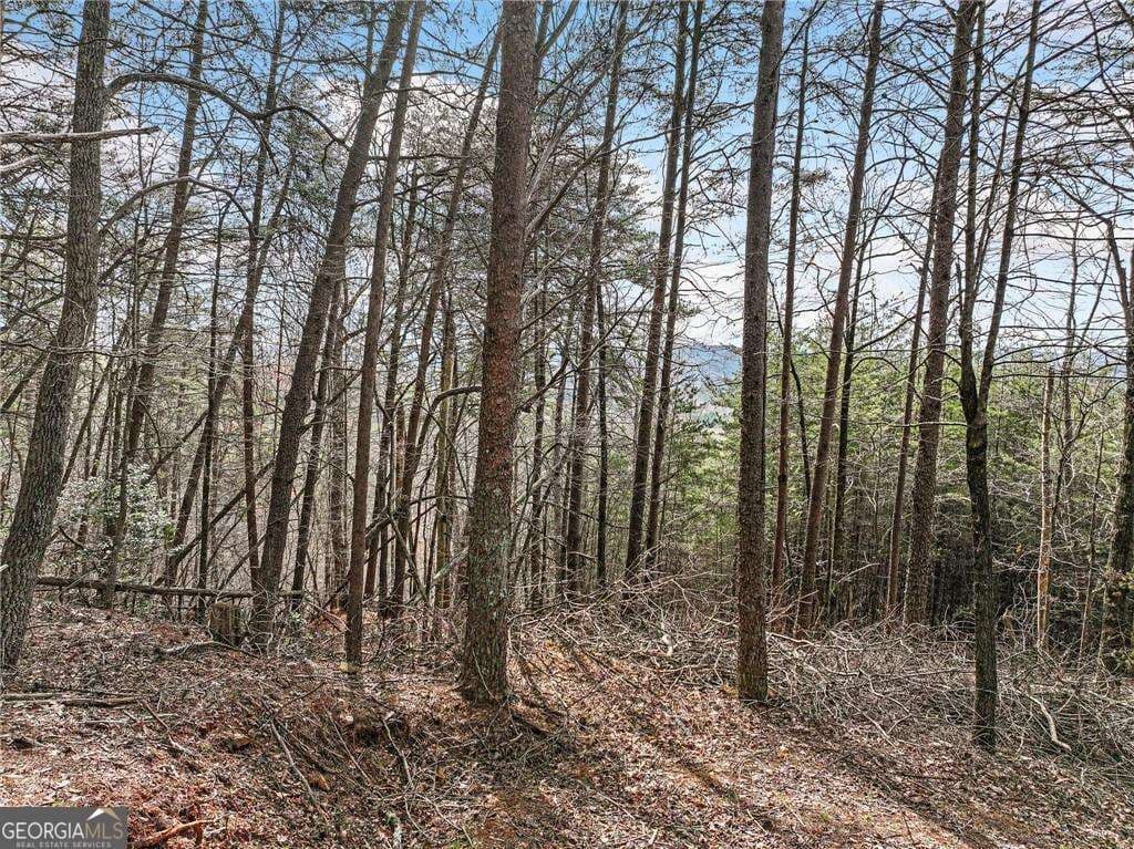 residential lot for sale at LOT 30 Crown Mountain Way, Dahlonega, GA 30533 — photo 9