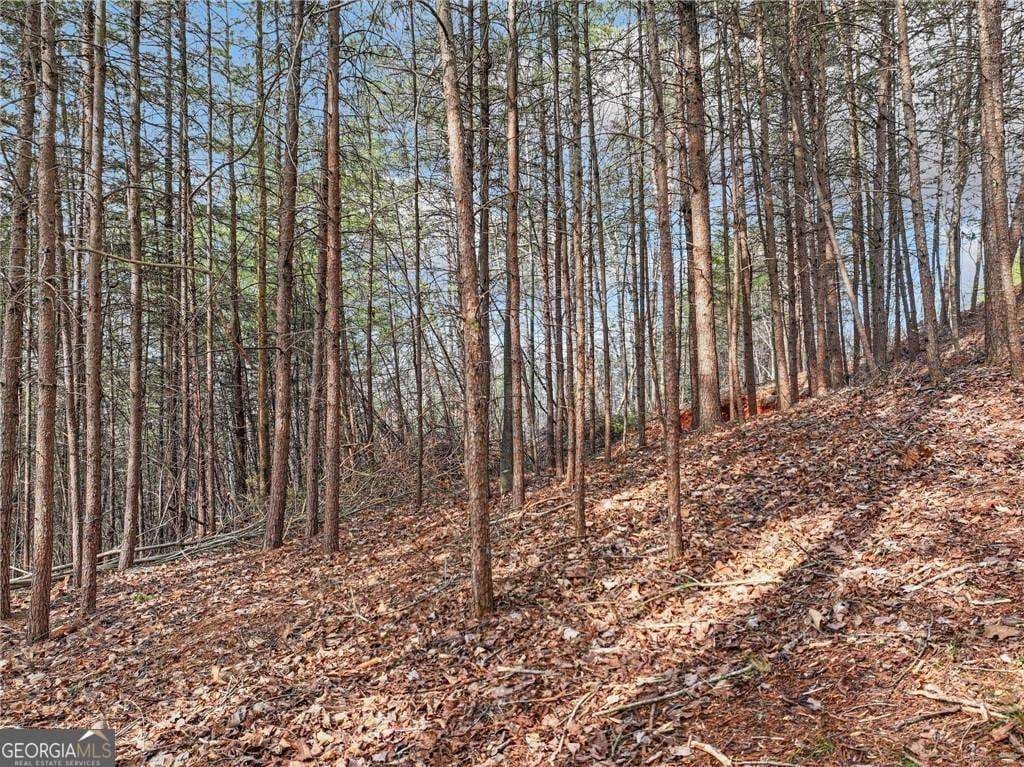 residential lot for sale at LOT 30 Crown Mountain Way, Dahlonega, GA 30533 — photo 10