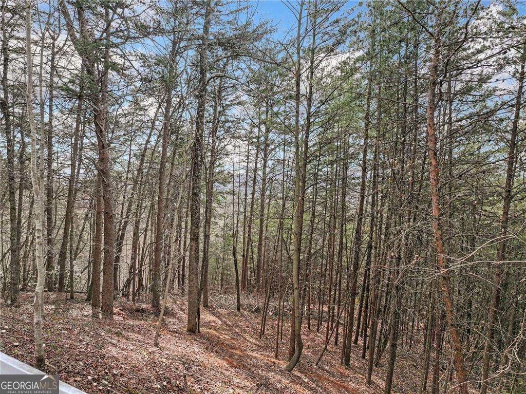 residential lot for sale at LOT 30 Crown Mountain Way, Dahlonega, GA 30533 — photo 8