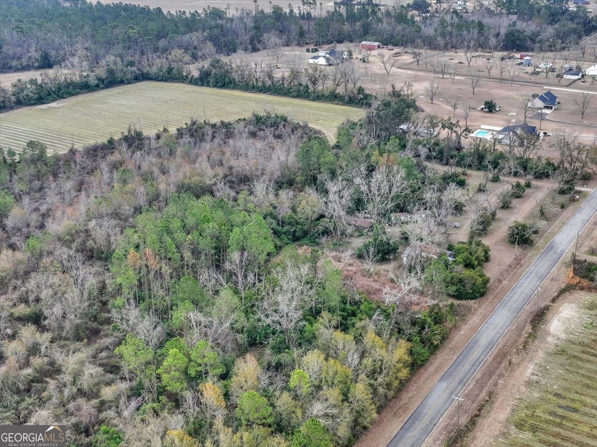 residential lot for sale at 174 Baskins Road, Lakeland, GA 31635 — photo 2