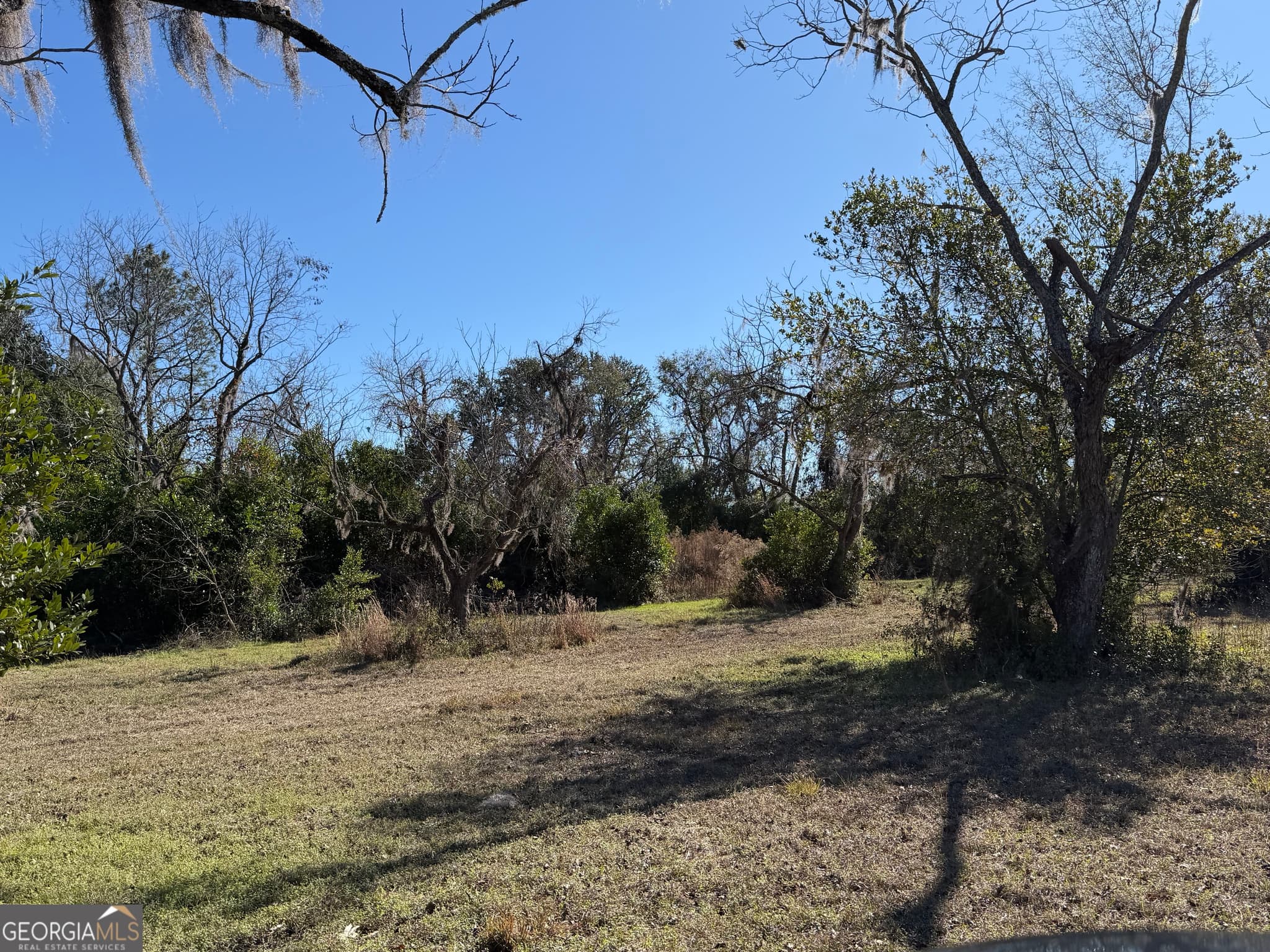 residential lot for sale at 174 Baskins Road, Lakeland, GA 31635 — photo 6