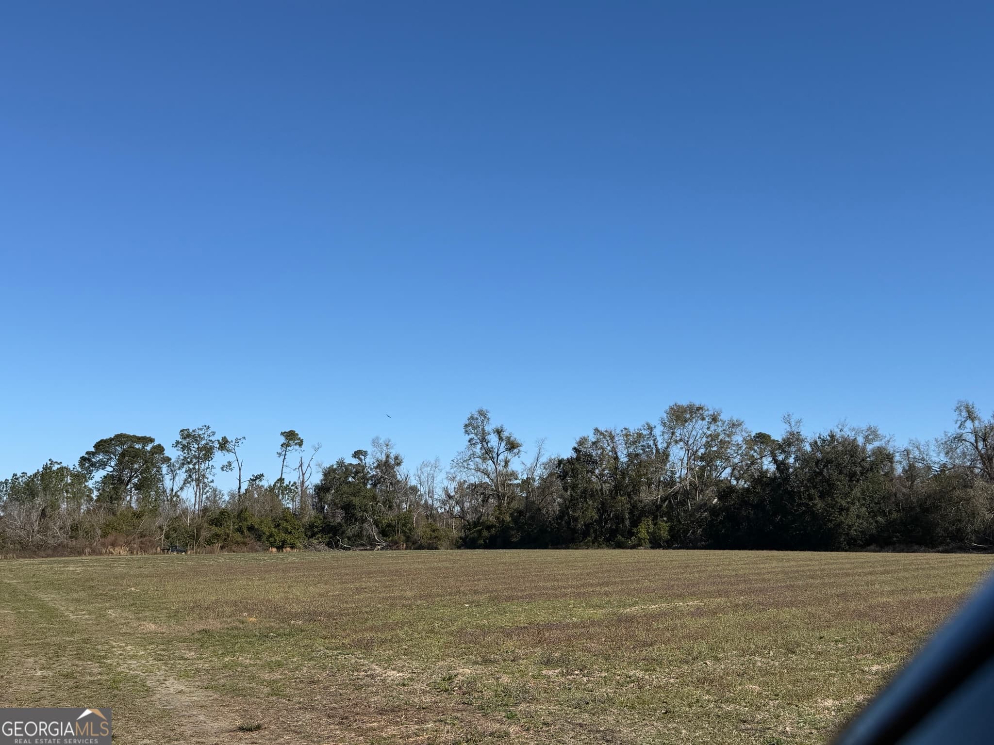 residential lot for sale at 174 Baskins Road, Lakeland, GA 31635 — photo 7