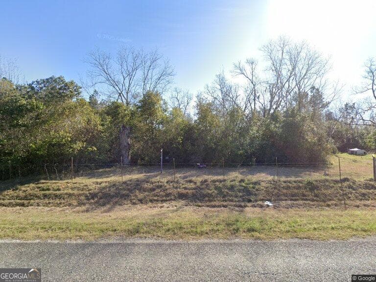 residential lot for sale at 174 Baskins Road, Lakeland, GA 31635 — photo 3