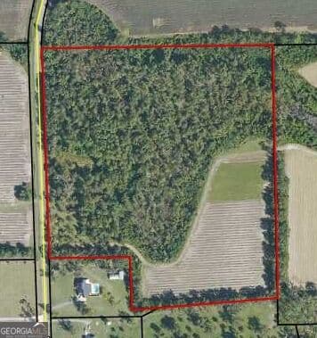 residential lot for sale at 174 Baskins Road, Lakeland, GA 31635