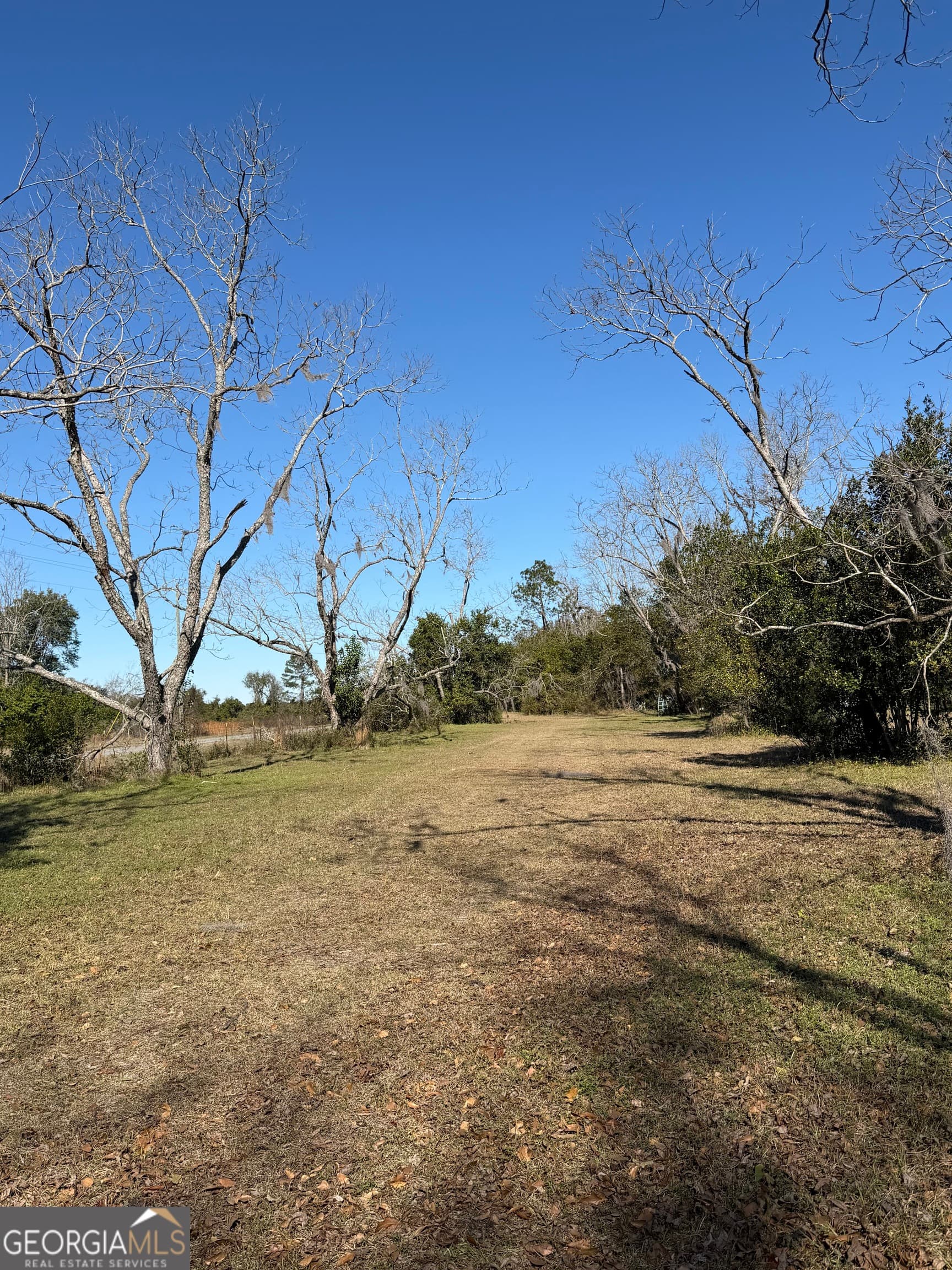 residential lot for sale at 174 Baskins Road, Lakeland, GA 31635 — photo 5