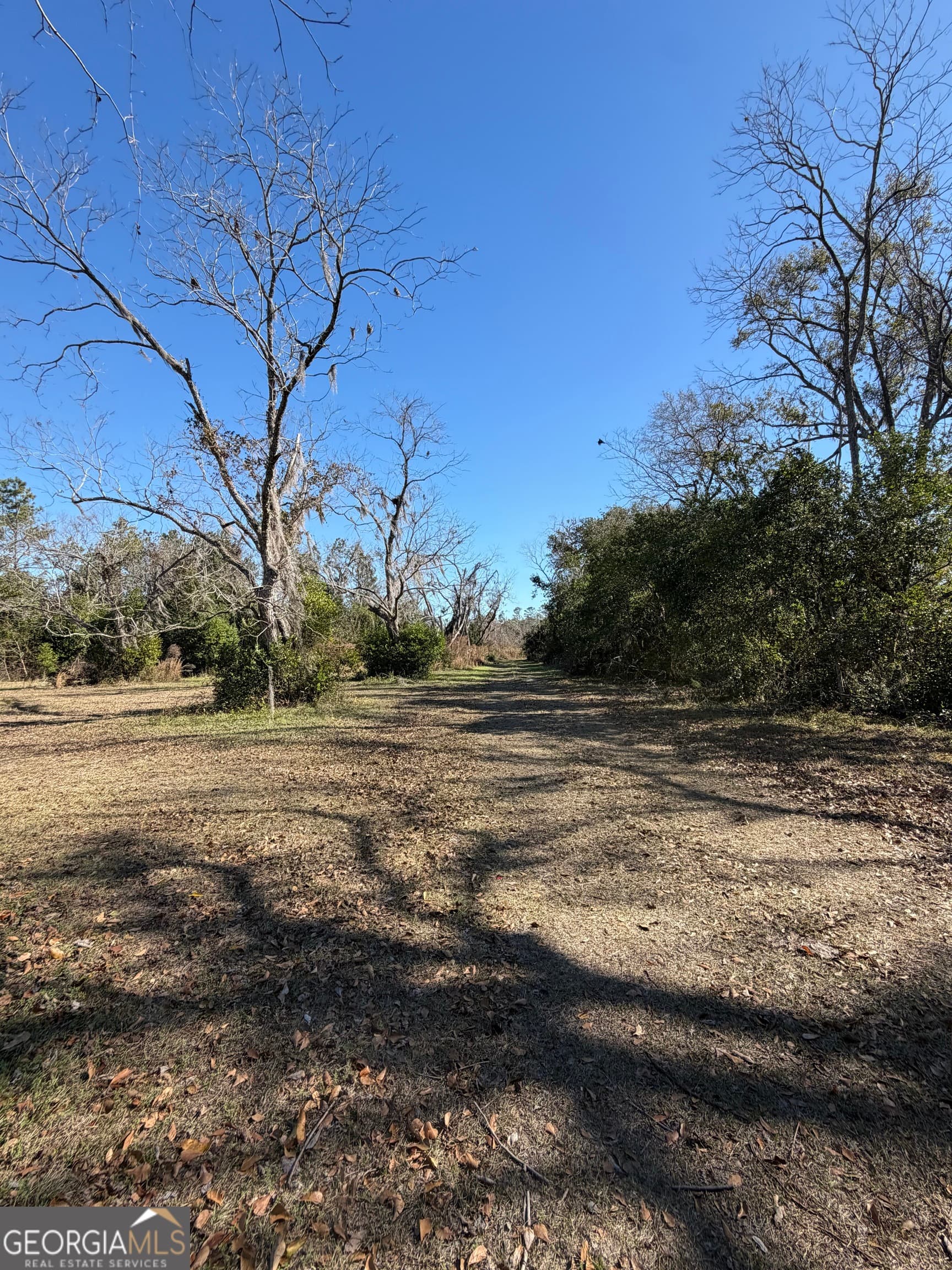 residential lot for sale at 174 Baskins Road, Lakeland, GA 31635 — photo 4