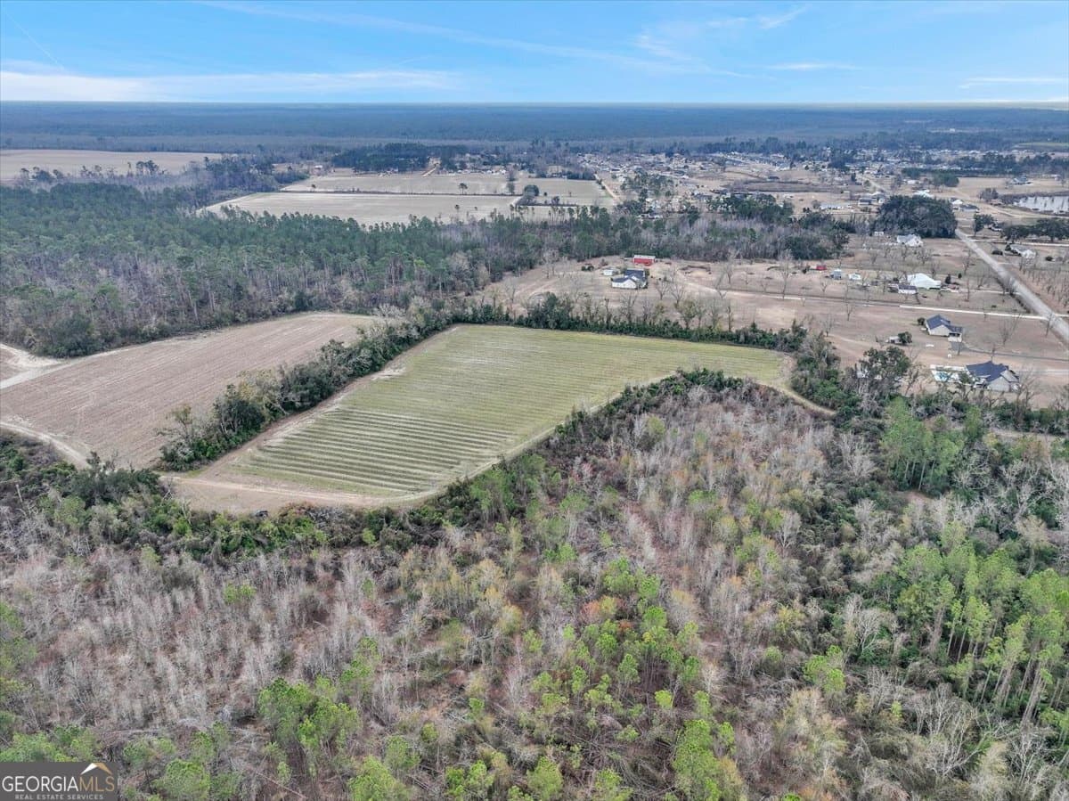 residential lot for sale at 174 Baskins Road, Lakeland, GA 31635 — photo 8