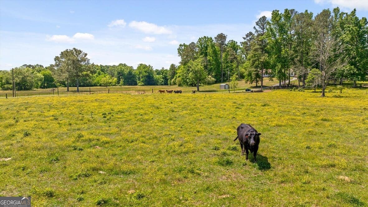 4 bedroom, 3 bathroom, 2,196 sq ft farm for sale at 446 Brown Bridge Road, Chatsworth, GA 30705 — photo 9