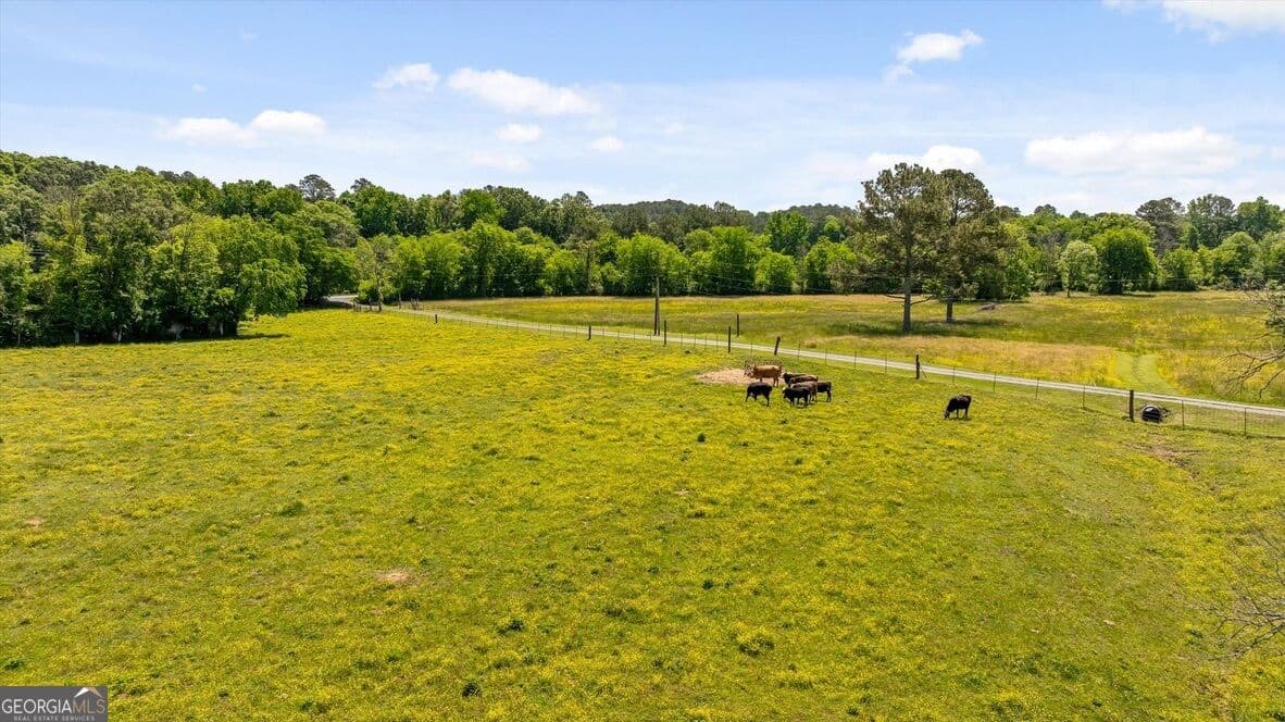 4 bedroom, 3 bathroom, 2,196 sq ft farm for sale at 446 Brown Bridge Road, Chatsworth, GA 30705 — photo 10