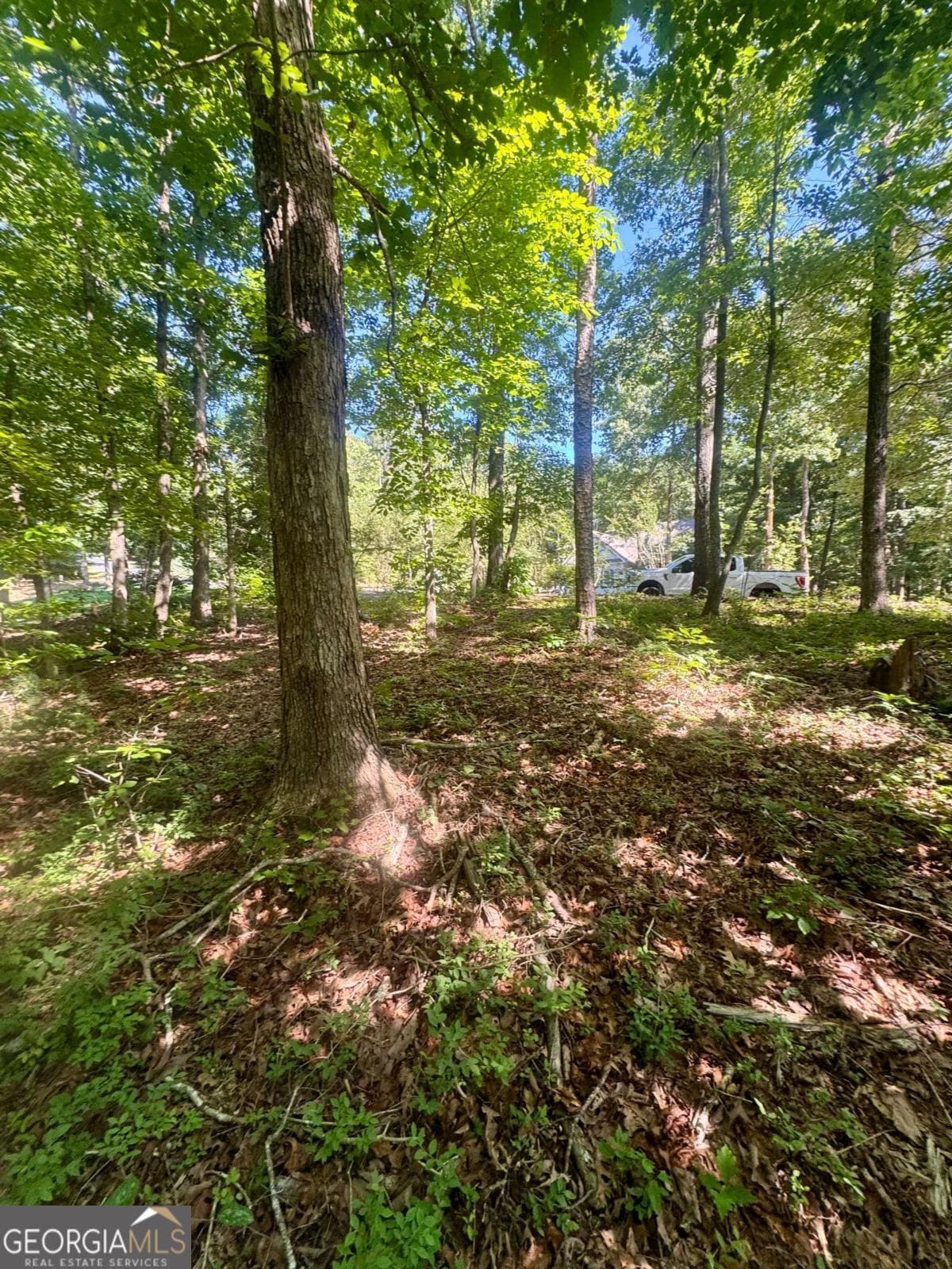 residential lot for sale at 0 TEEL MOUNTAIN Drive, Cleveland, GA 30528 — photo 2