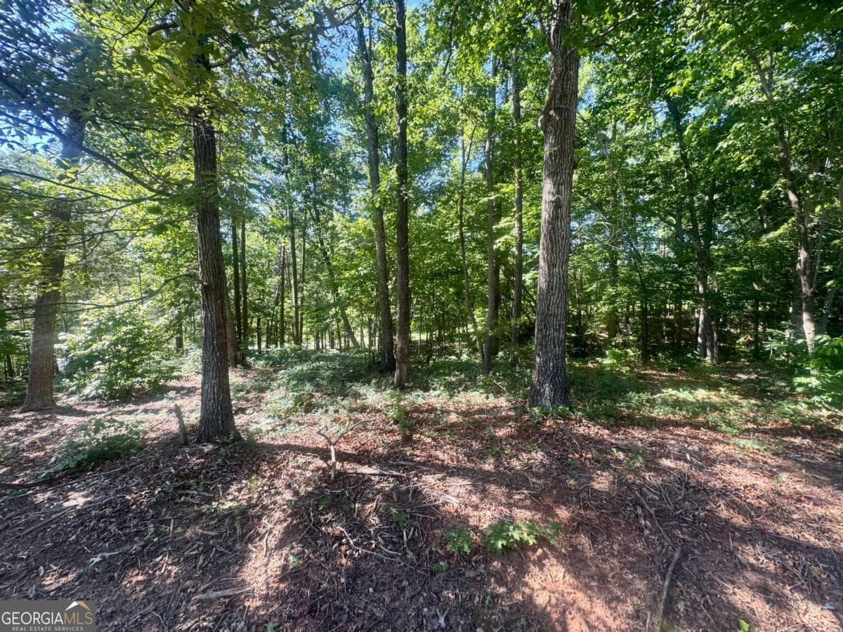 residential lot for sale at 0 TEEL MOUNTAIN Drive, Cleveland, GA 30528 — photo 1 of 2