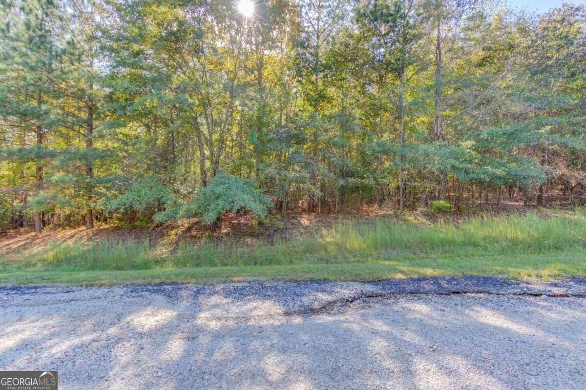 residential lot for sale at 3505 Odessa Way, Loganville, GA 30052 — photo 6