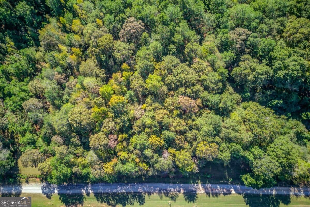 residential lot for sale at 3505 Odessa Way, Loganville, GA 30052 — photo 7
