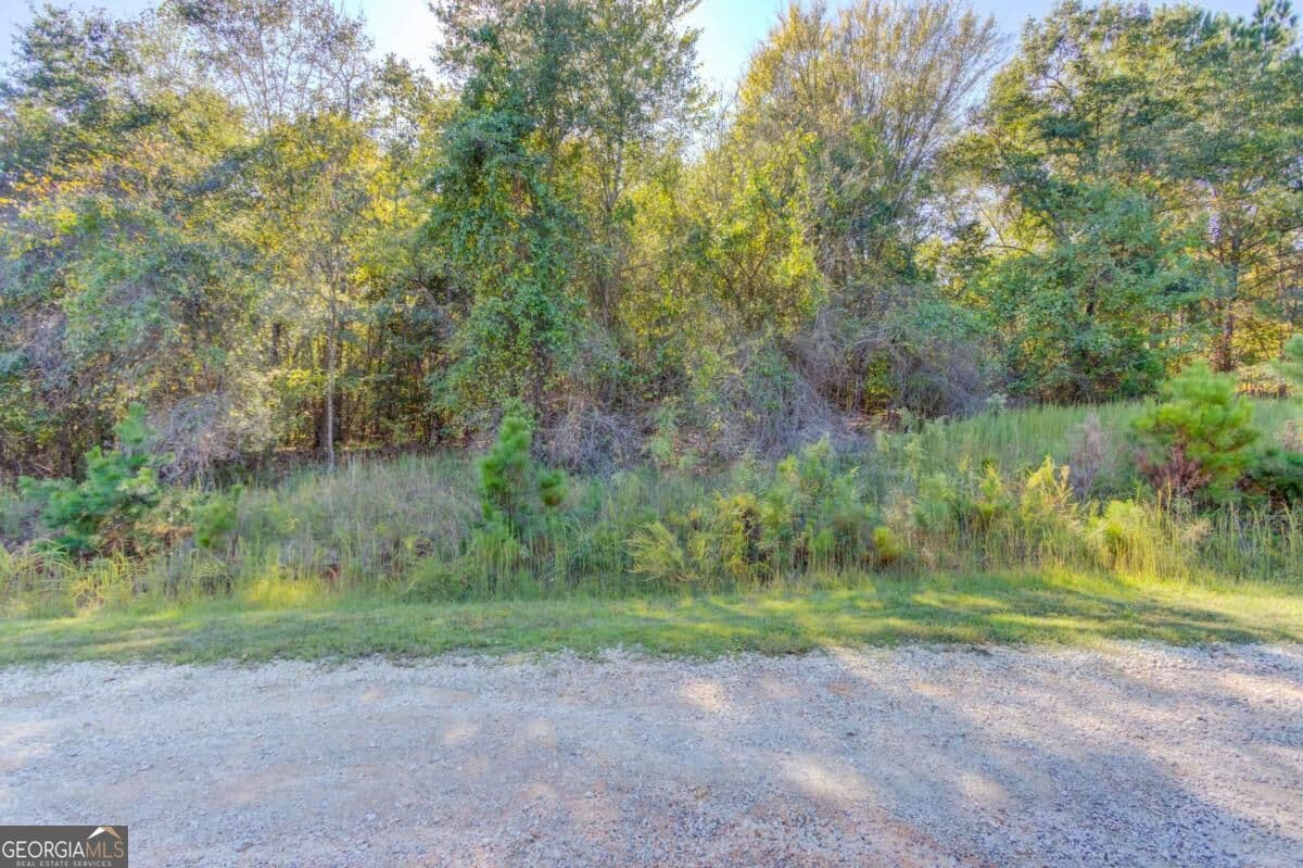residential lot for sale at 3505 Odessa Way, Loganville, GA 30052 — photo 5