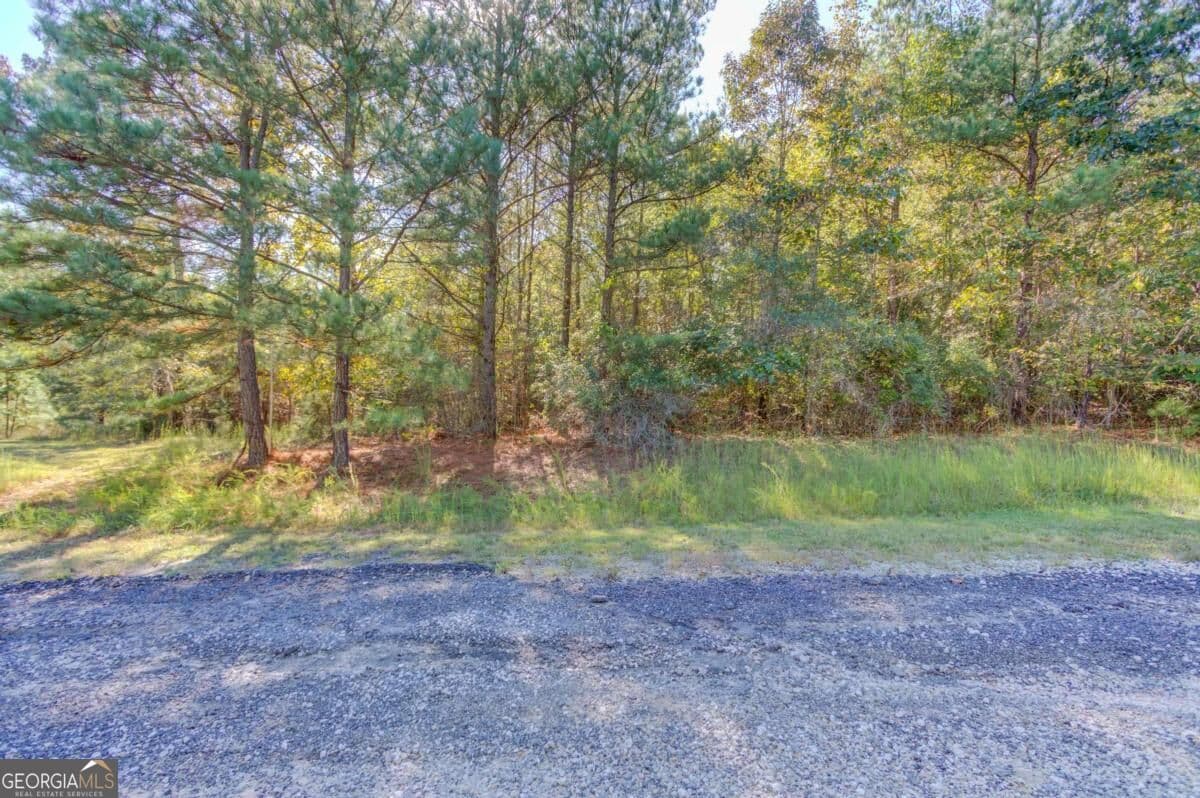 residential lot for sale at 3505 Odessa Way, Loganville, GA 30052 — photo 9