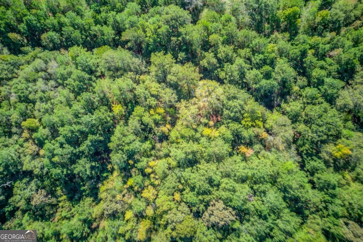 residential lot for sale at 3505 Odessa Way, Loganville, GA 30052 — photo 8