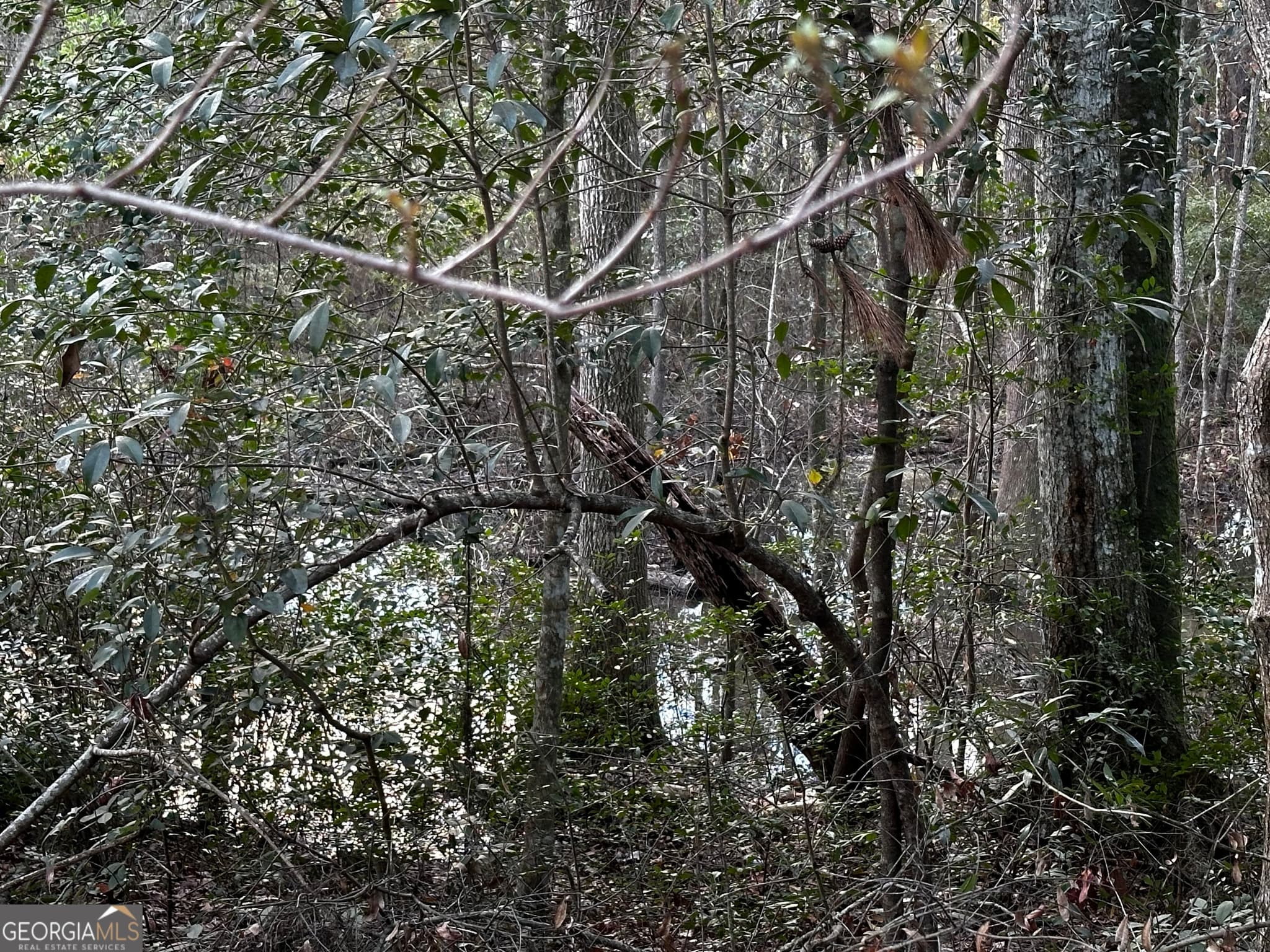 unimproved land for sale at 0 Marcia Avenue, Thomasville, GA 31792 — photo 2